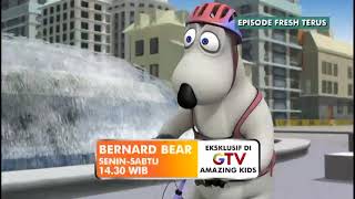 Funny Bear Action That Always Makes You Laugh Watch Bernard Bear On Gtv