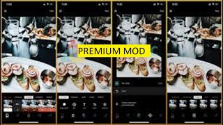 Tips VSCO++ Pro 💵 VSCO++ Premium MOD 📲 Glitch VSCO++ for Mobile screenshot 3