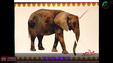 Class 1 Sindhi lecture # 14