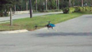HK 500 Trex 500 Clone test Flite