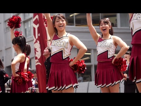 オープンキャンパス2014① 紺碧の空 早稲田大学応援部チアリーダーズ