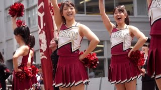 オープンキャンパス2014① 紺碧の空 早稲田大学応援部チアリーダーズ