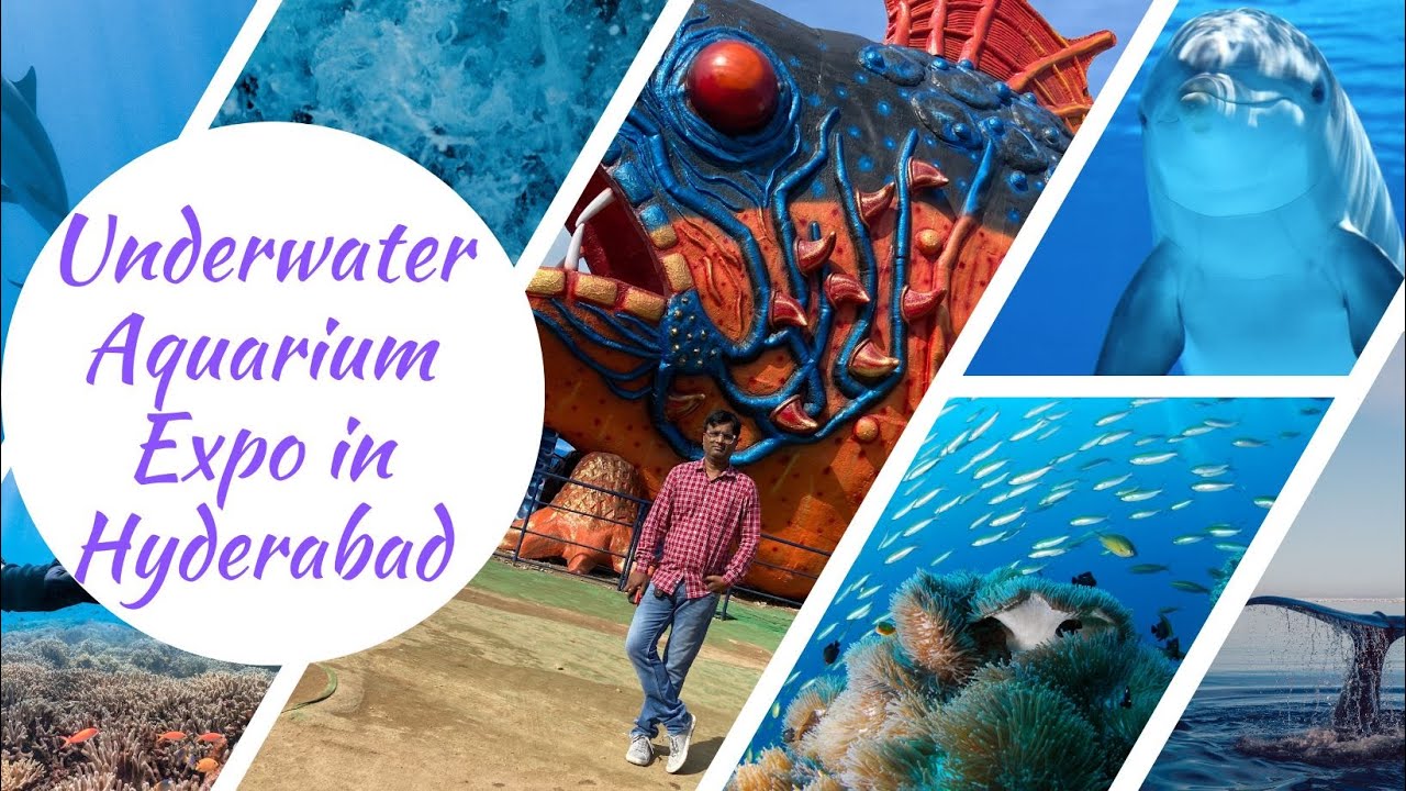 Hyderabad's Largest Underwater Aquarium Expo HyderabadAquariumExpo 