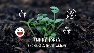 Funny hilarious joke and authenticating inspirational quotes with joyful music screenshot 3