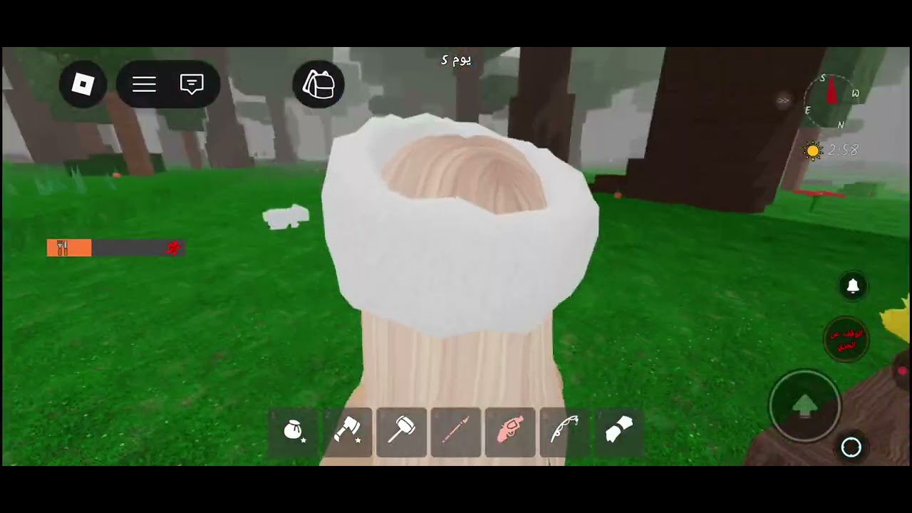 ٢٠ فبراير ٢٠٢٦