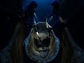 Incredible Deep-Sea Exploration: An Underwater Journey Like No Other