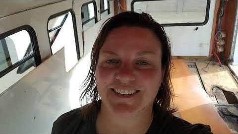 Shuttle Bus Conversion: Ceiling, Wall and Floor Rot! Not sure what to do....