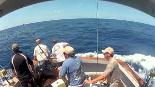 iona gamefishing cairns jim sullivan