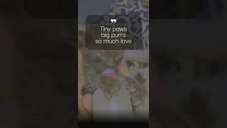 Bottle Feeding Baby While Sis Plays