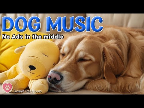 20 Hours of Relaxing Music for Dogs🐶🦮 Soothing & Soft Sleep