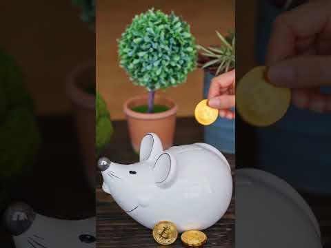 $247 CASHBACK — ONE MONTH