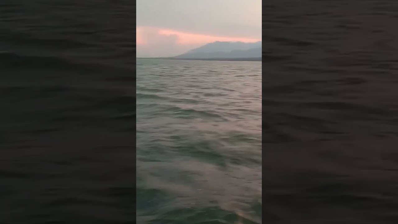 🦋💫✨BAVANI SAGEAR DDAM 🦋💫✨😘MY PLACE ✨💫😘