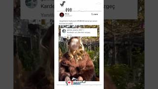 Sevgilisinin Hediyesini Mobese Kamerası Sanan Kıza Yorum Yağdı