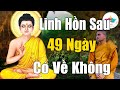 Nghe Phật Dạy - Tại Sao Từ Lúc MỚI MẤT TRONG VÒNG 49 NGÀY Linh Hồn Thường Về Báo Mộng #MỚI