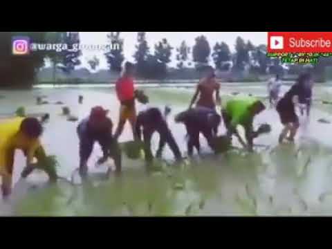 PARODI MUNDUR ALON-ALON