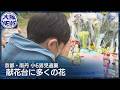 【京都府南丹市 男児遺体遺棄事件】発見現場に広がる祈り