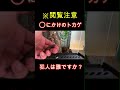 弱っているトカゲ #shorts #トカゲ #爬虫類 #生き物 #飼育
