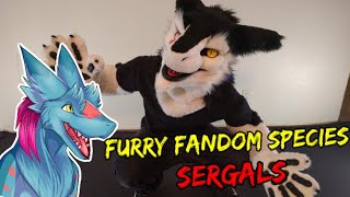 Sergals - Species Within The Furry Fandom