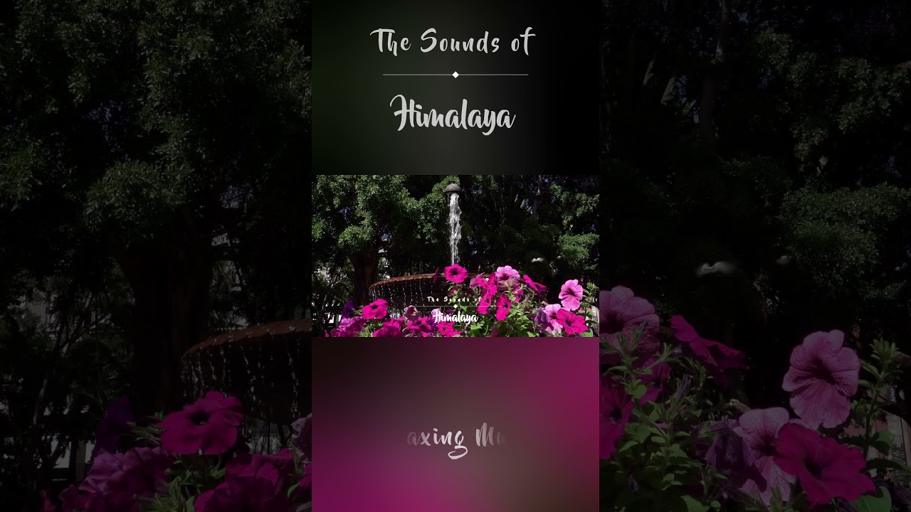 Study Music, Water Sounds, Concentration Music, Focus Music, Meditation, Relax Music, Study 