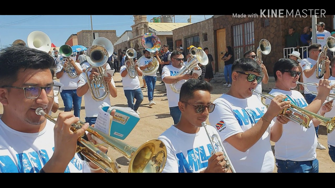 LOS  MALLKUS  "2019"  EN AYQUINA