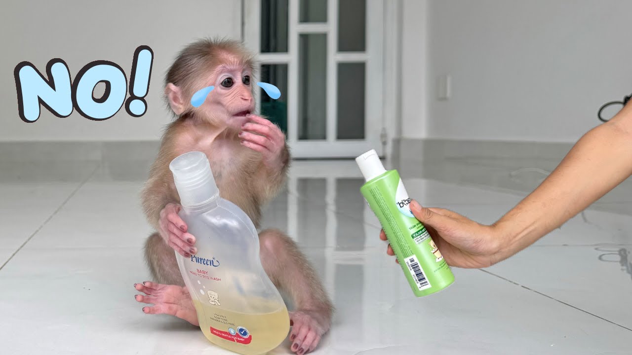 What happened to Lucky's favorite body wash that made her so upset