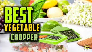 ✅ 5 Best Vegetable and Progressive Fruit Choppers Reviews in 2021- Electric & Non-Electric Choppers