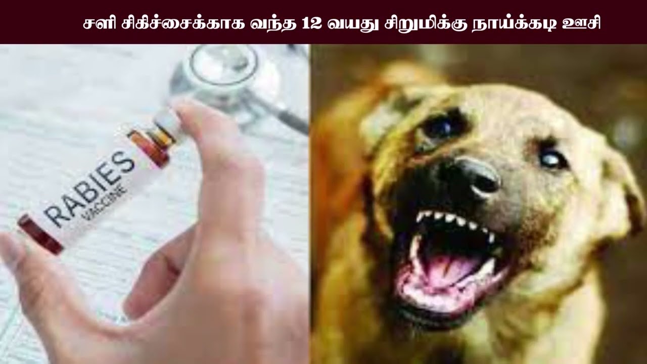 சளி சிகிச்சைக்காக வந்த 12 வயது சிறுமிக்கு நாய்க்கடி ஊசி-child-doginjection-groverment-hospital-nurse