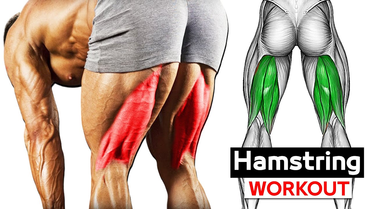 Best Exercise hamstring Workout | Don't Skip It Never !! - YouTube