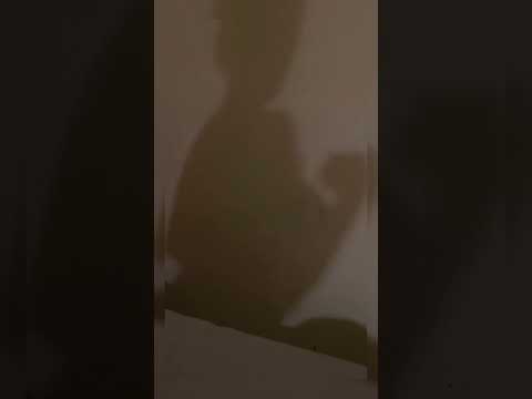 Ochi bikin bayangan Part 2 #berlian #kimochi #ochi #blackmamba #livestream #kimochiberlianhot