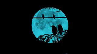 Blue Moon - Beck (Slowed + Reverb)
