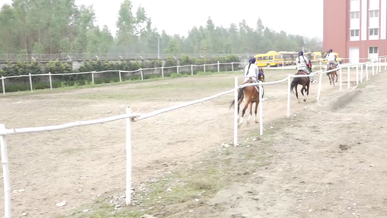 Horse riding at Delhi Public School, Haldwani YouTube