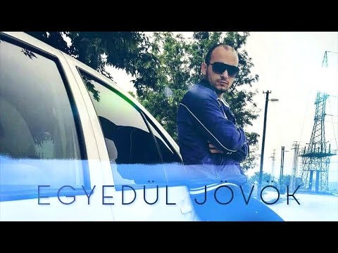 DIEN - EGYEDÜL JÖVÖK | OFFICIAL AUDIO |