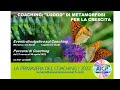 Primavera coaching aicp cc veneto  eventi