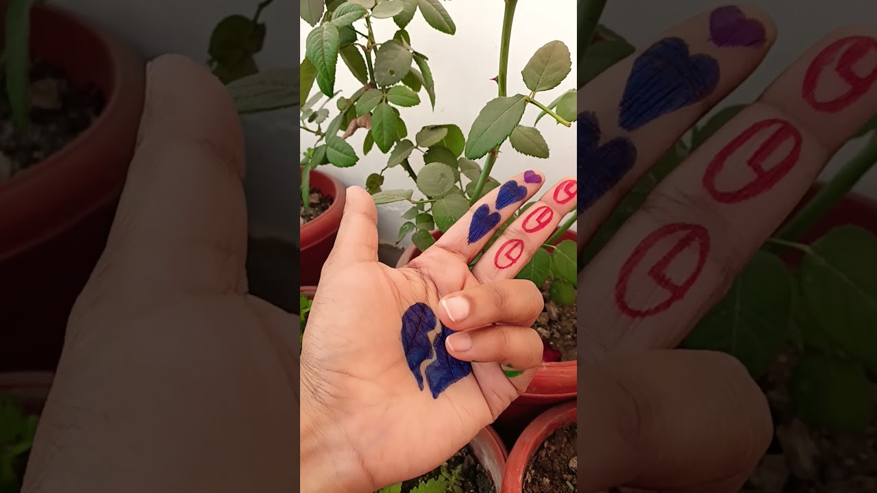 Нужна твоя любовь, нужно твое время, все не так, сделай меня правым 