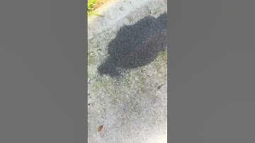 Don’t Make This Mistake with Reloading Powder!! Almost Got Burned!!!