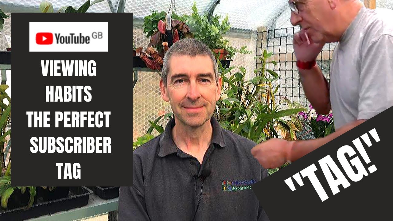 YOUTUBE VIEWING HABITS - my very first tag!