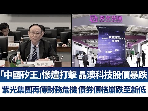 “中国硅王”惨遭打击 晶澳科技股价暴跌