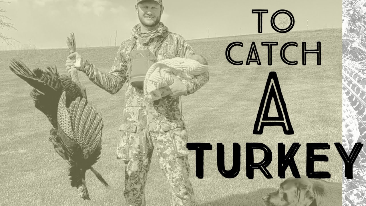 Gobbler Down! - I LOVE this one, probably my favorite turkey hunt ever.
