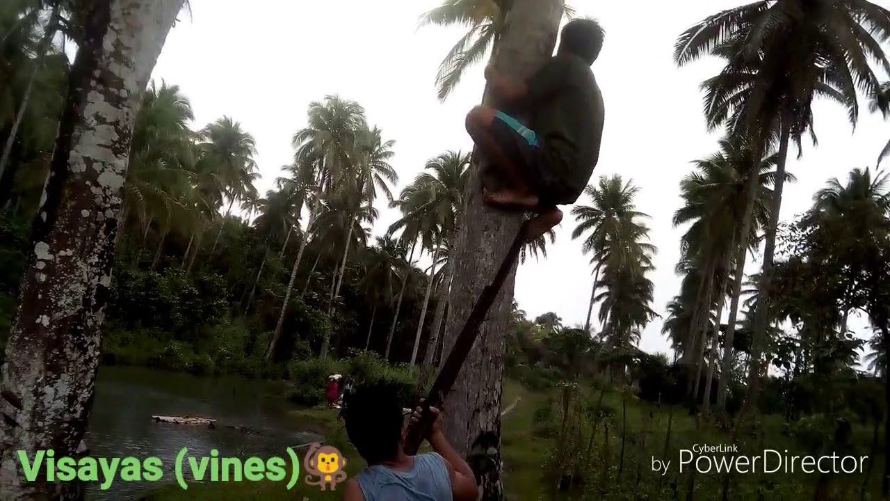 funny videos(2018)filipino vines