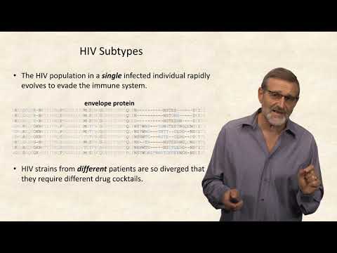 Waiting for an HIV Vaccine