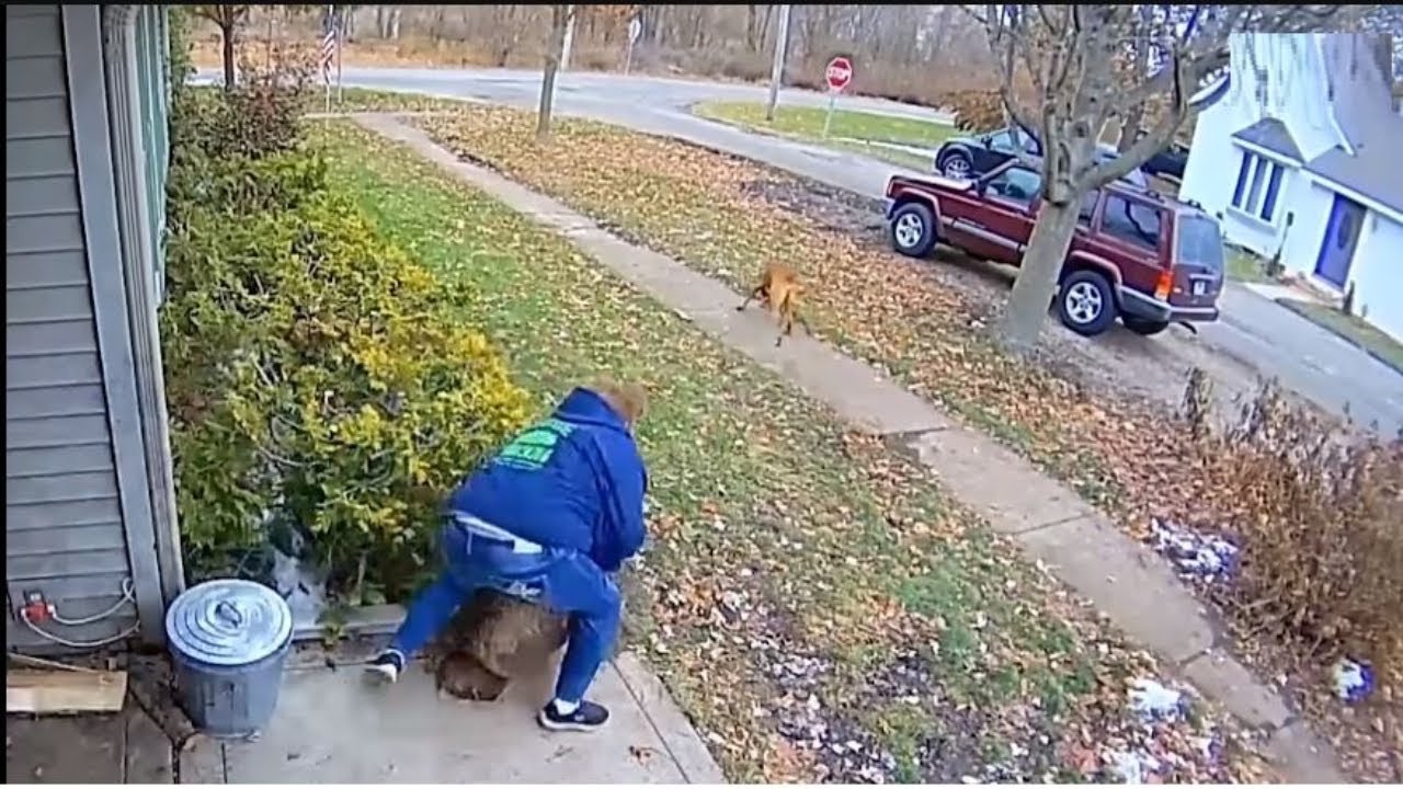 Epic Fail Compilation The Funniest Moments Caught on Camera - YouTube