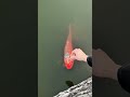 Свидание в Токио