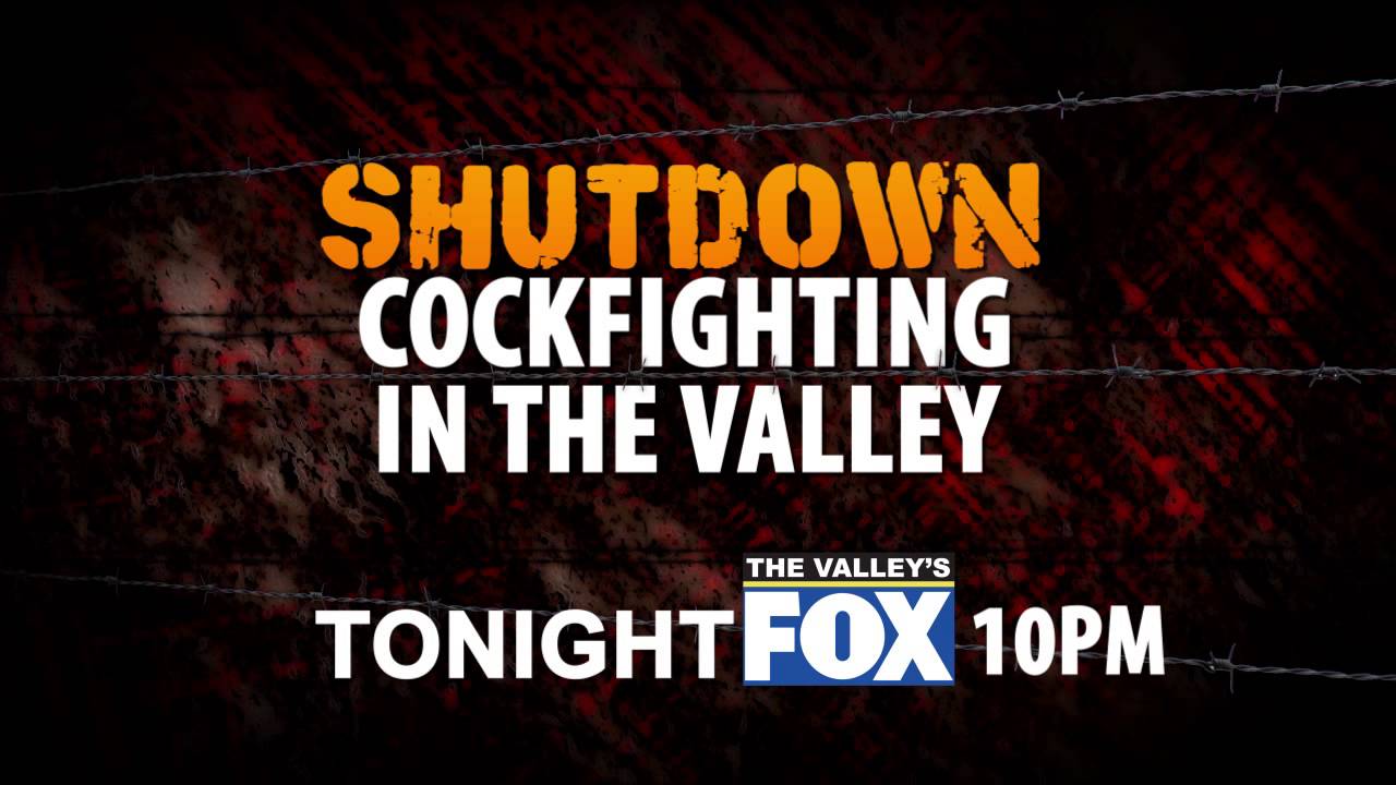 Cockfighting TONIGHT