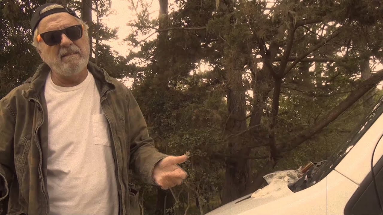 Officer Rana (official music video)