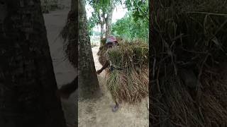 এত কষ্ট এই জীবনে#viralclips #শর্ট ভিডিও#funnyvideos #ভাইরাল ভিডিও@HGuitaraStudio @AFX @AETV