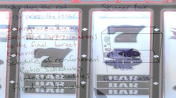 Schedules of reinforcement - Intro to Psychology