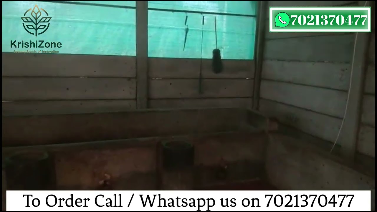 Fogger Kit for Dairy Farm | Order On 7021370477