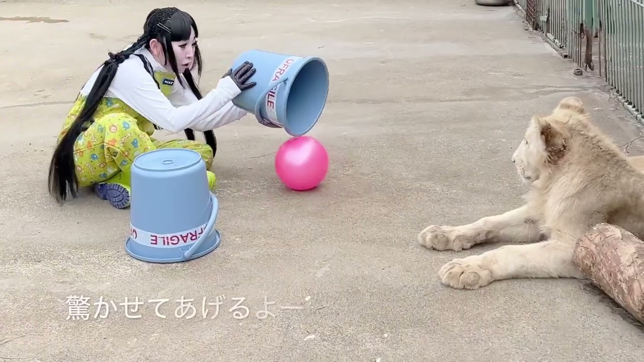 ホワイトライオンの魔法学校 #10【プリンセス天功】 - YouTube