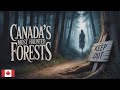 10 جنگل تسخیر شده در کانادا افسانه های ترسناک ارواح و تسخیرشدگی های واقعی 