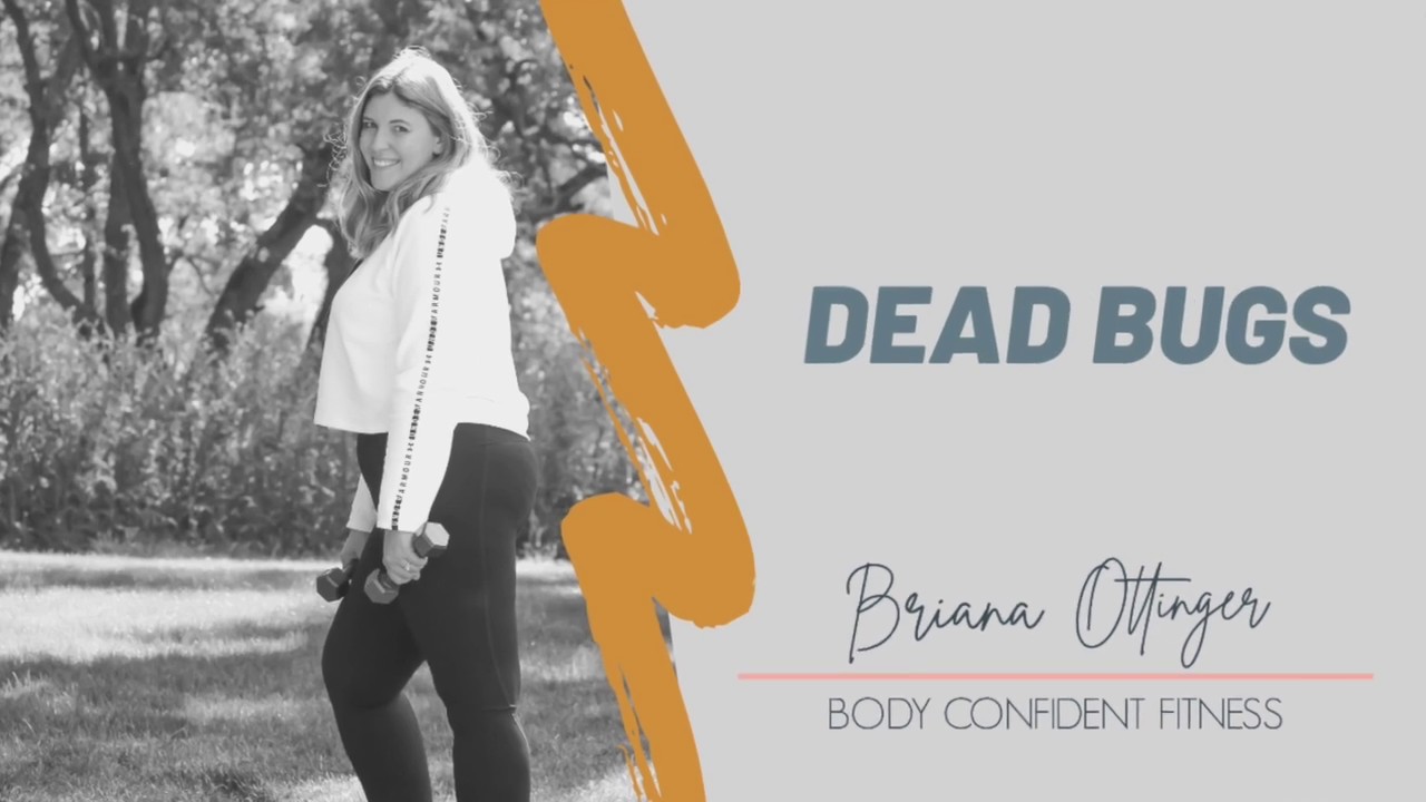 video phone beyonce mp3 BCF Dead Bugs